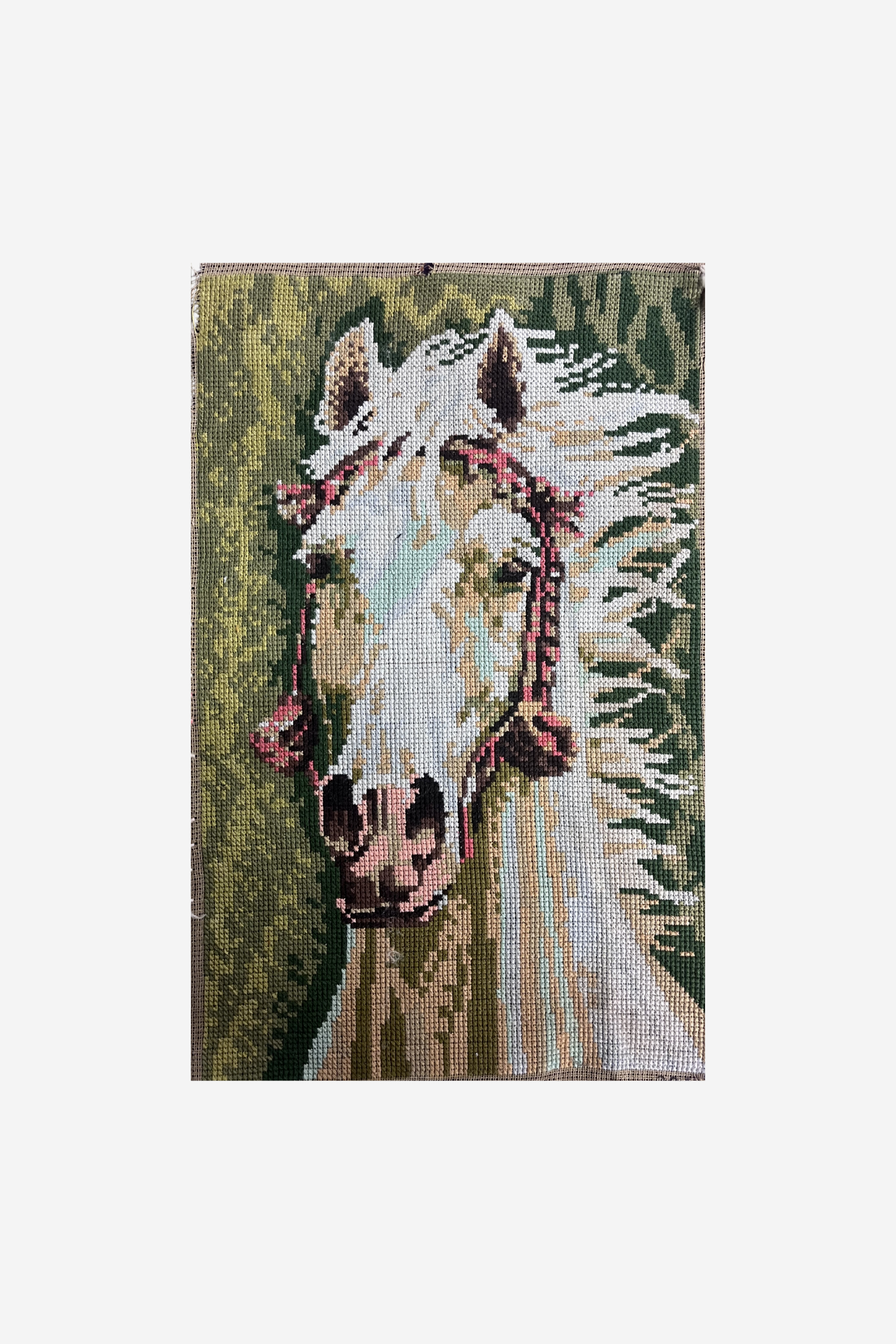 strap - paard - verstelbaar